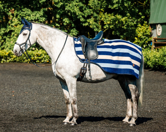 Ireland Newmarket Exercise Sheet
