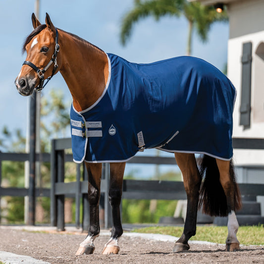 Stable Sheet–Core Color