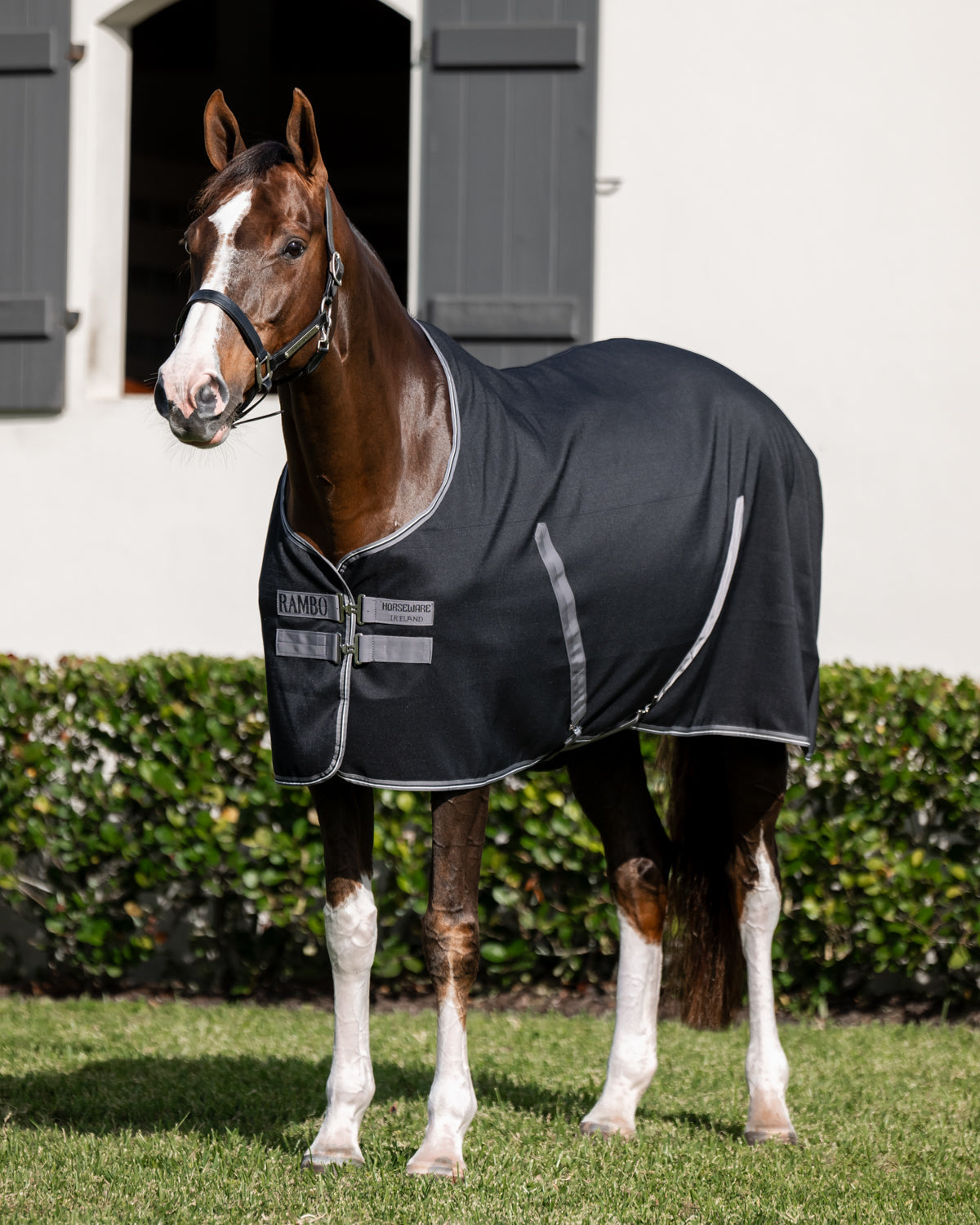 Stable Sheet with Embossed Lining