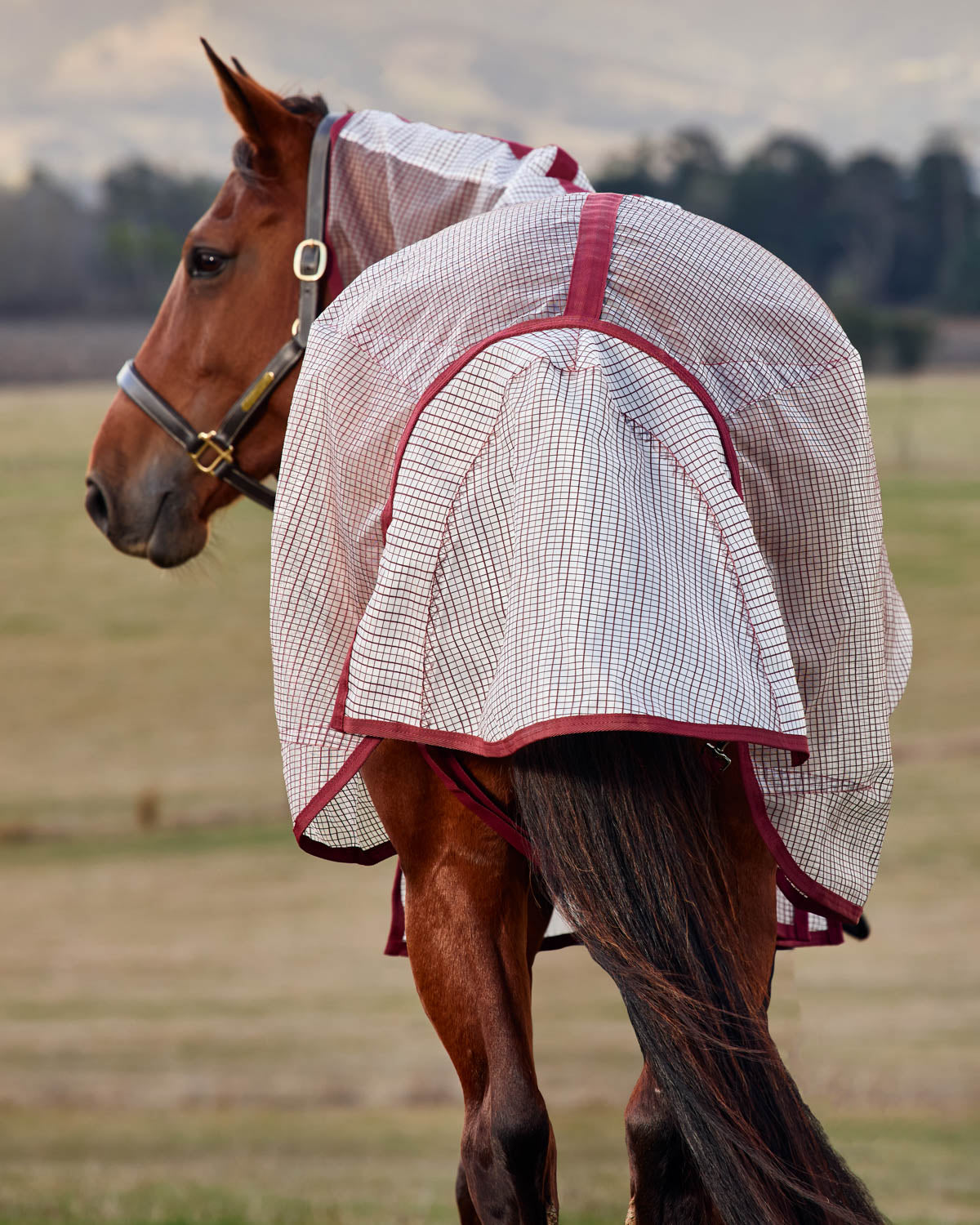 Ripshield Detach-A-Neck Fly Sheet
