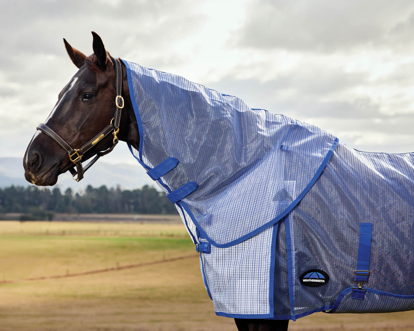 Ripshield Detach-A-Neck Fly Sheet