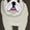 C4 Apple Watch Band