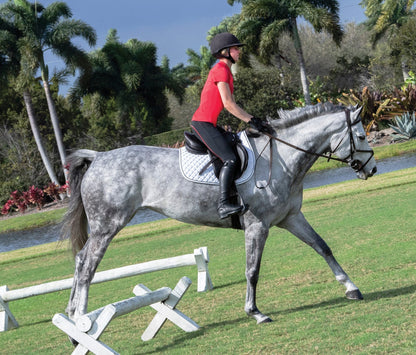 Ladies’ Performance Full-Seat Tight