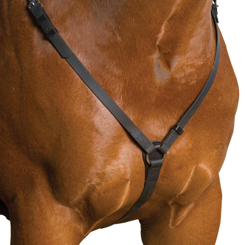 Breastplate